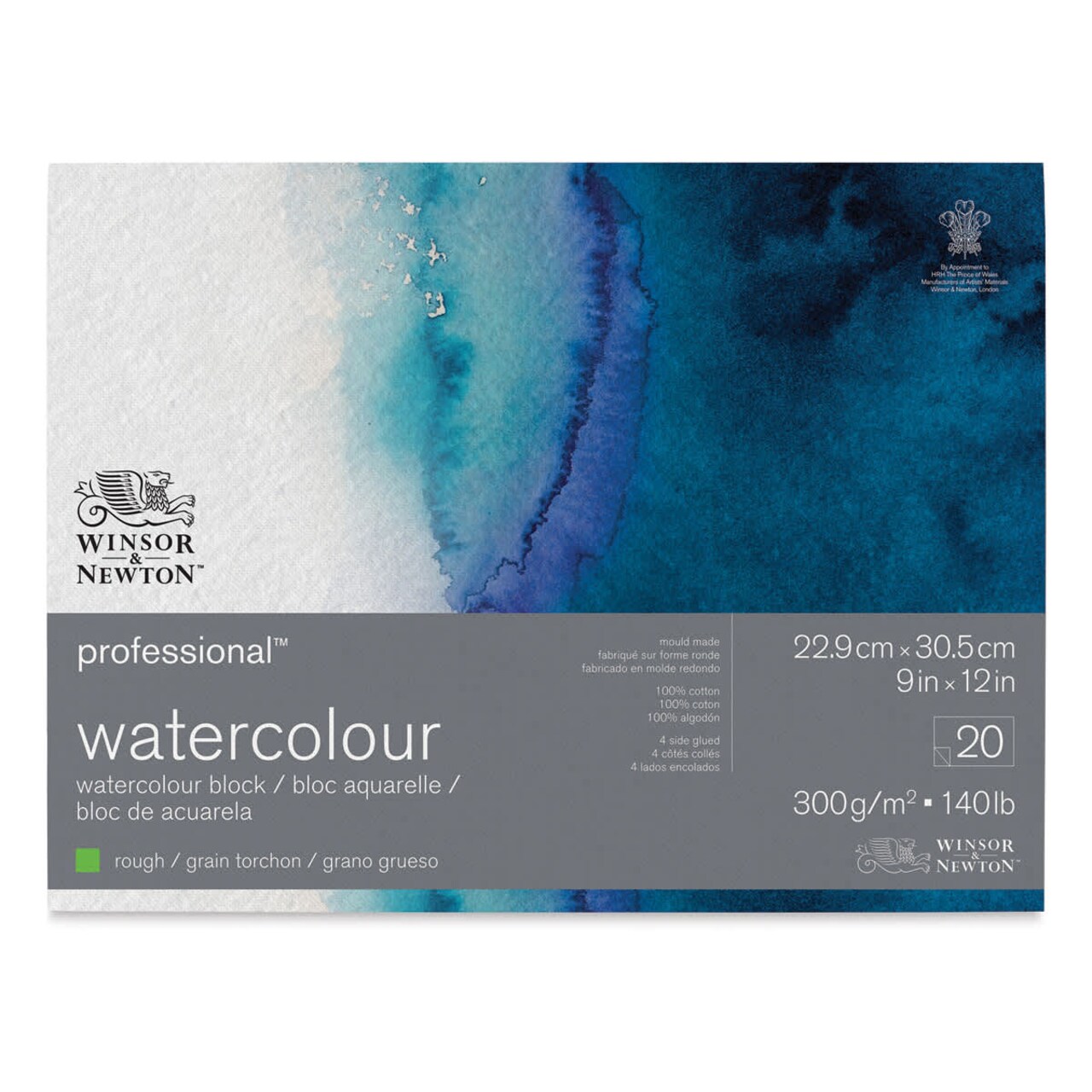 Winsor & Newton Professional Watercolor Block - 9" x 12", Rough Press